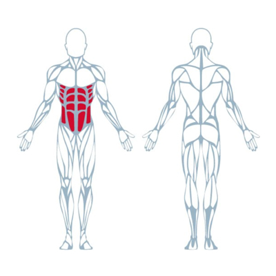 A300 Abdominal