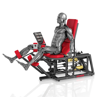 A300 Hip Adductor