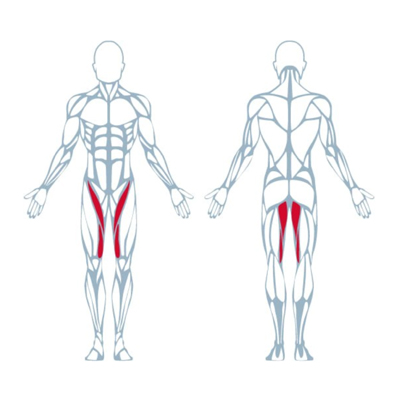 A300 Hip Adductor