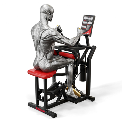 A300 Seated Calf