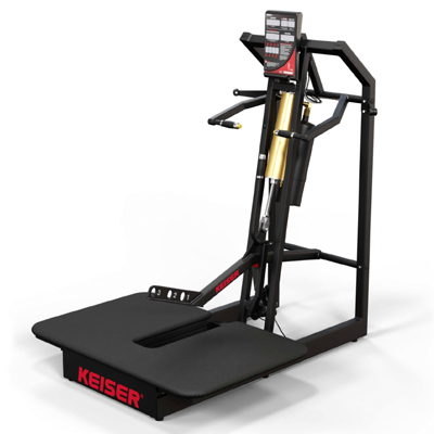 A300 Belt Squat