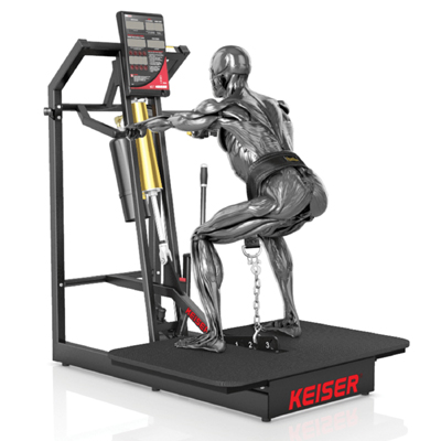 A300 Belt Squat