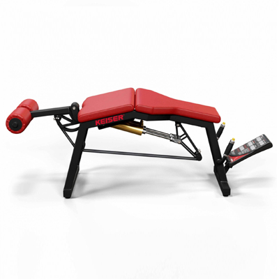 A300 Leg Curl Pro