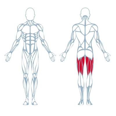 A300 Leg Curl Pro