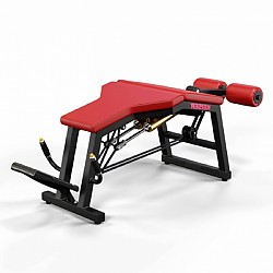 A300 Leg Curl Pro
