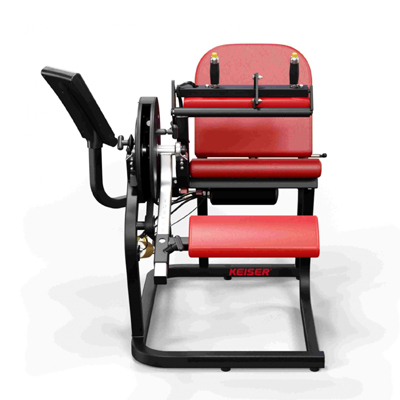A300 Seated Leg Curl