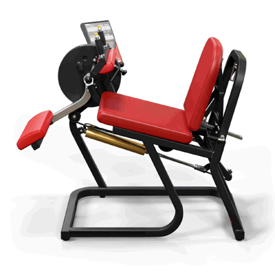 A300 Seated Leg Curl