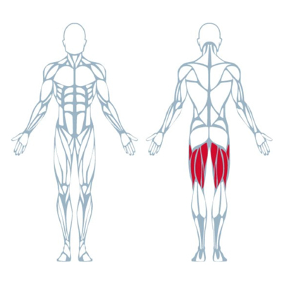 A300 Seated Leg Curl