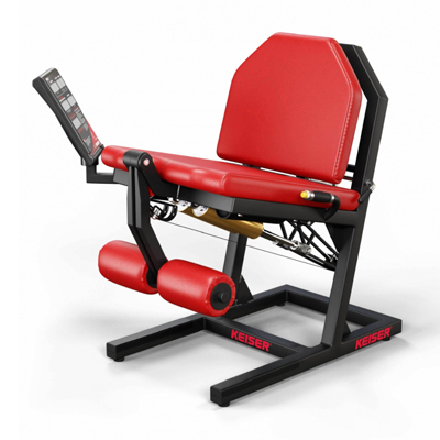 A300 Leg Extension Pro