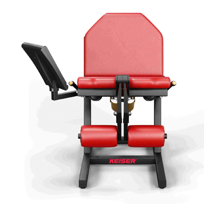 A300 Leg Extension Pro