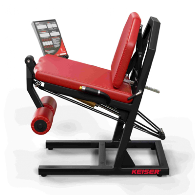 A300 Leg Extension Pro