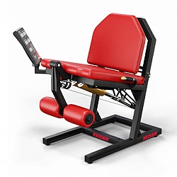 A300 Leg Extension Pro