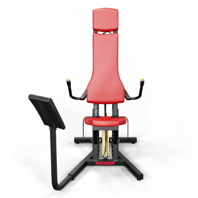 A300 Triceps