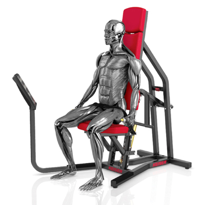 A300 Triceps