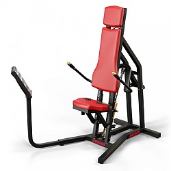 A300 Triceps