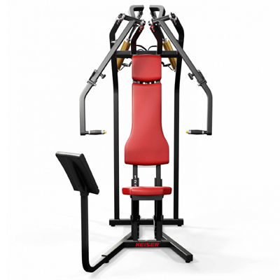 A300 Biaxial Chest Press