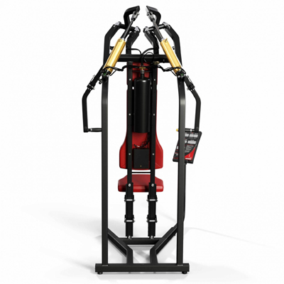 A300 Biaxial Chest Press
