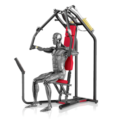 A300 Biaxial Chest Press