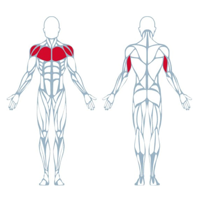 A300 Biaxial Chest Press