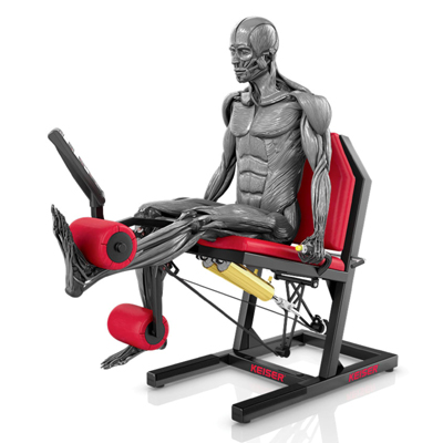 A400 Leg Extension Pro